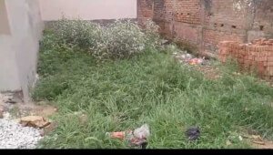 Land for sale in Kachuara near baria bus stand 